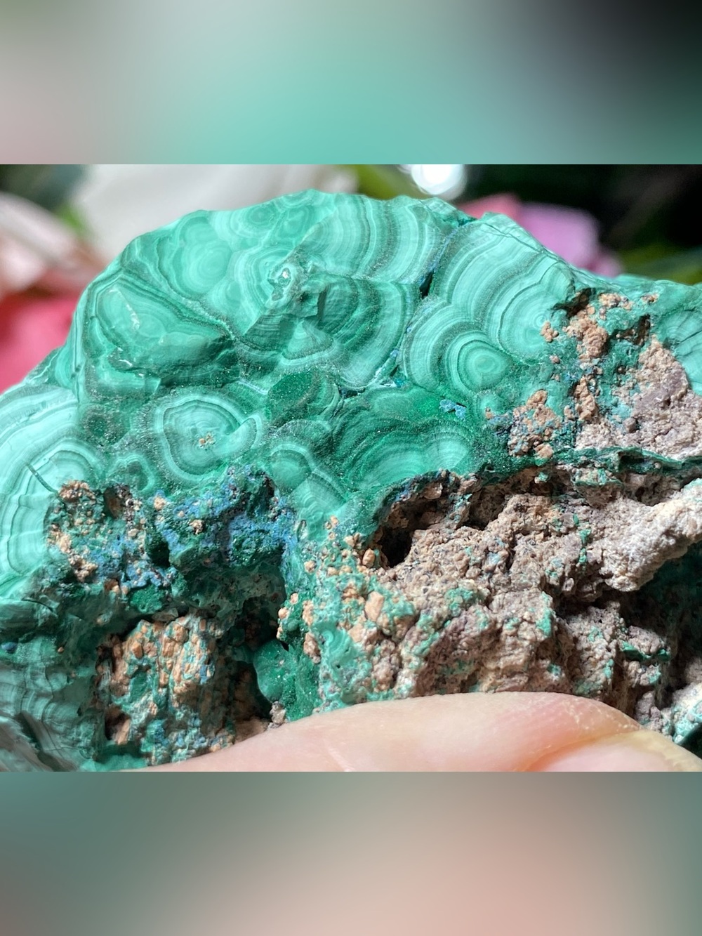Large Botryoidal Malachite - Picture 10 of 16